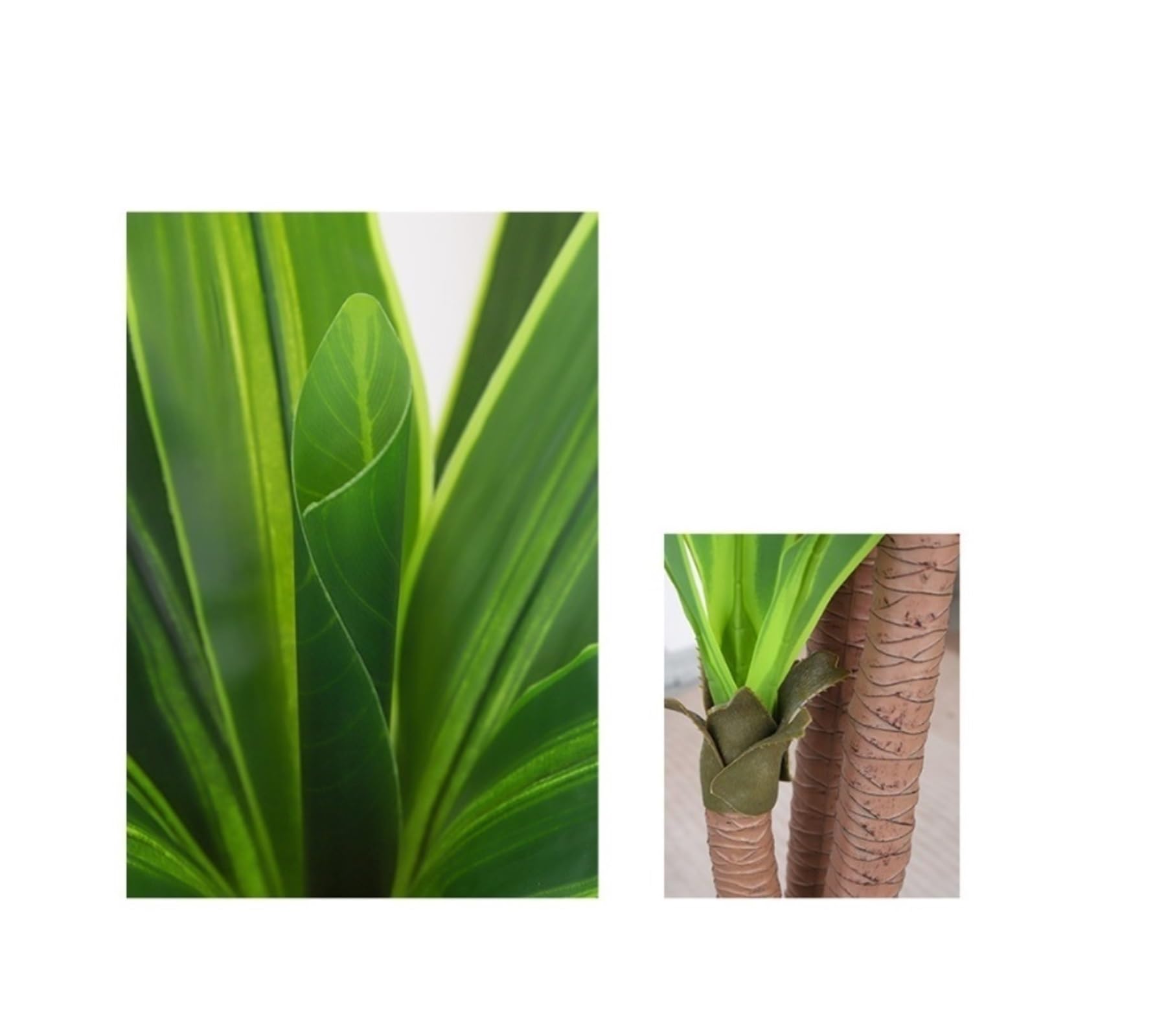 洋書 TROPICA: Exotic Plants and Trees TROPISK potted plant, tropical plant/assorted species plants